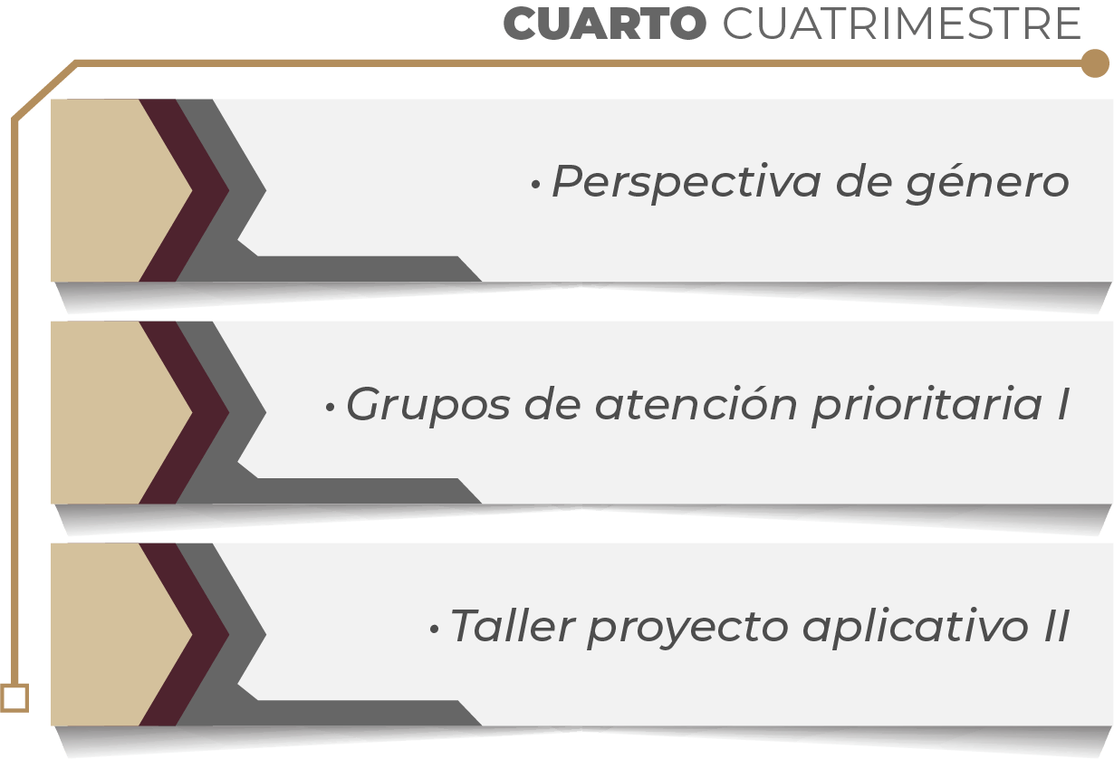 MAPA CURRICULAR GESTIÓN